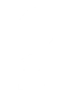 Europa League